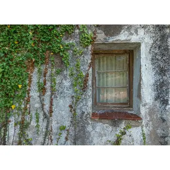 Ностальгическая стена, окно, Фон для фотосъемки растений, Виниловые тканевые фоны для детей, портрет ребенка, Фотосессия домашних животных, Фотостудия